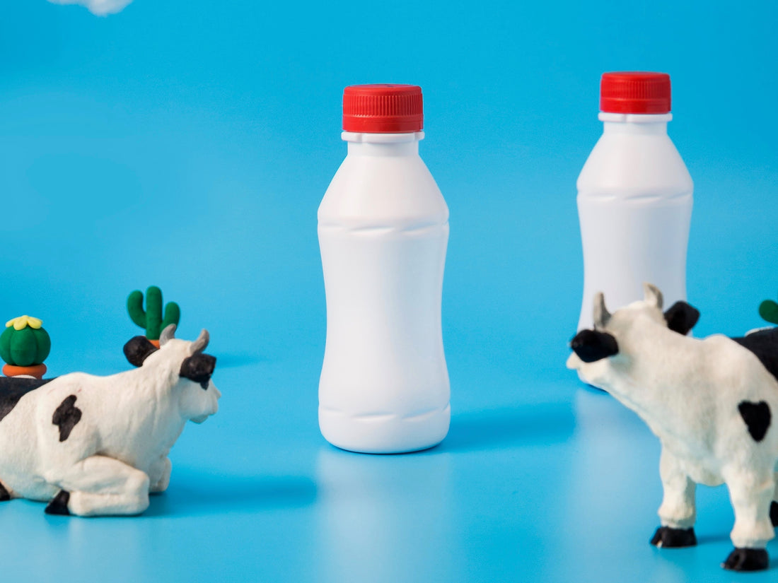 What is Whey? Learn here.